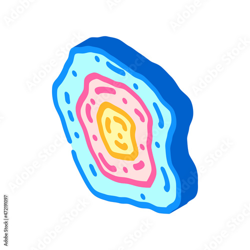 nebula galaxy isometric icon vector. nebula galaxy sign. isolated symbol illustration
