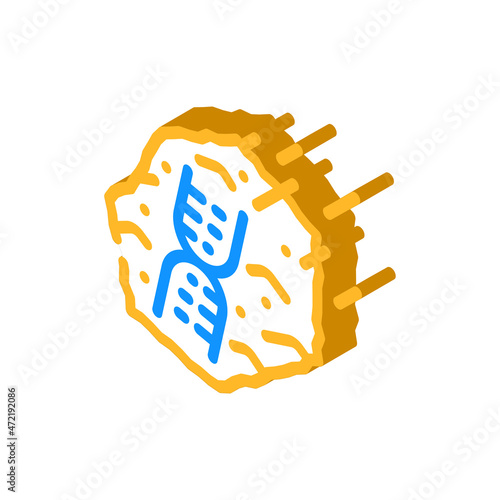 panspermia space isometric icon vector. panspermia space sign. isolated symbol illustration