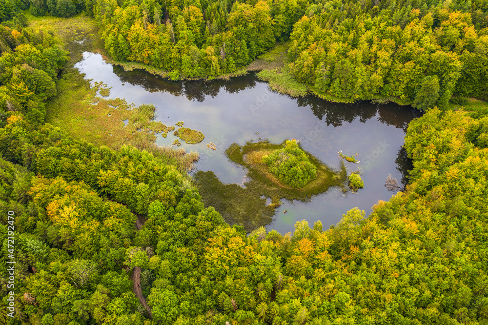 Leśne jezioro na Kaszubach w północnej Polsce - obrazy, fototapety, plakaty 