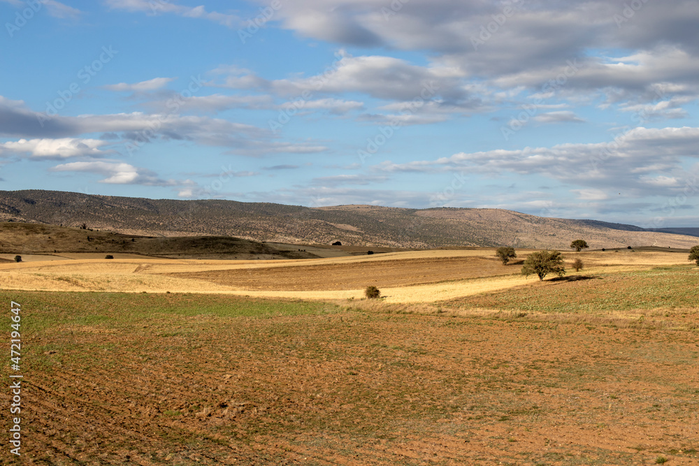 Obraz premium landscape with fields and blue sky