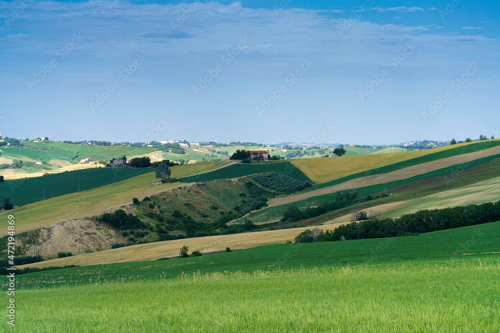 Rural landscape near Ostra Vetere and Cingoli, Marche, Italy Rural landscape near Ostra Vetere and Cingoli, Marche, Italy