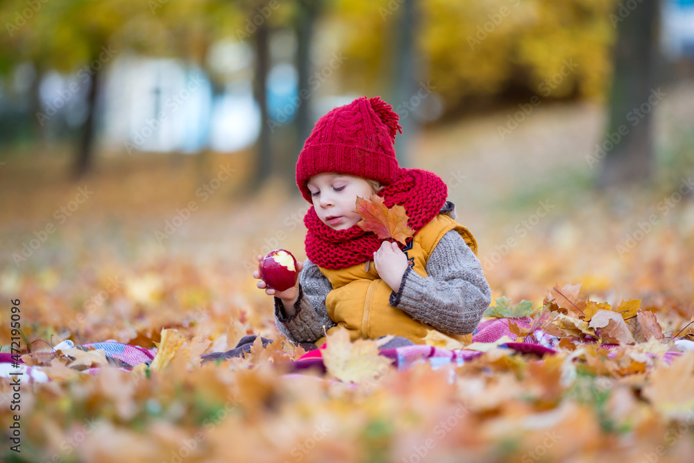 Happy child, playing with in autumn park on a sunny day, foliage and leaves all around him Happy child, playing with in autumn park on a sunny day, foliage and leaves all around him