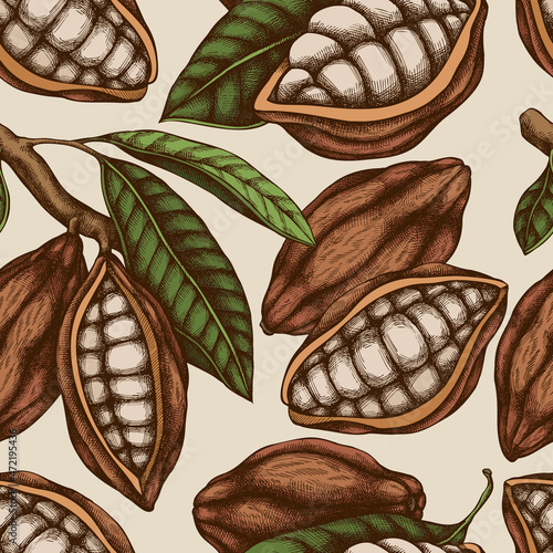 Seamless pattern with hand drawn colored cocoa
