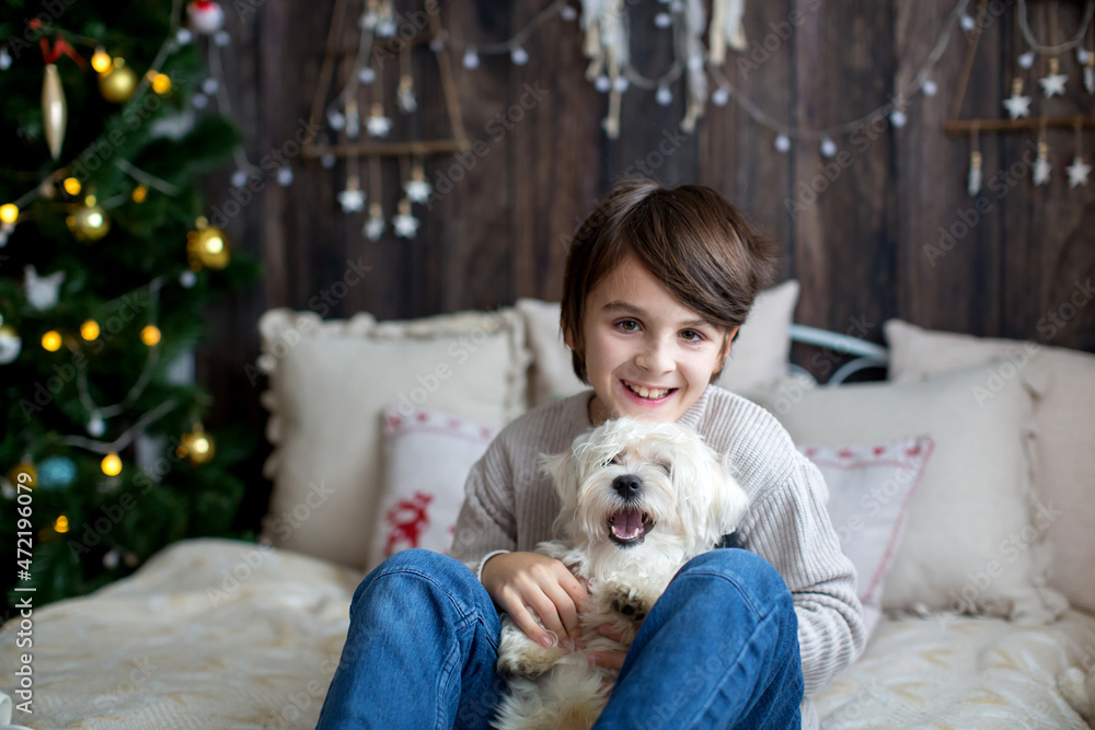 Happy child and pet dog, enjoying Christmas time together, celebrating Happy child and pet dog, enjoying Christmas time together, celebrating