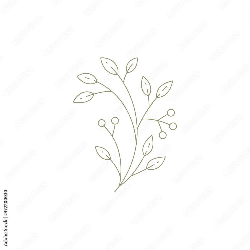 Monochrome linear cranberry lingonberry branch twig with leaves berries gardening farm icon vector Monochrome linear cranberry lingonberry branch twig with leaves berries gardening farm icon vector