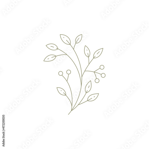 Monochrome linear cranberry lingonberry branch twig with leaves berries gardening farm icon vector