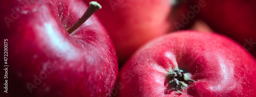 Red ripe and juicy apples detailed close up full frame ornamental fruit web banner background