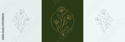 Monochrome greeting card with chamomile and daffodil flower decorative design elements set vector