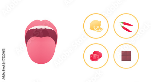 Human sense and perception concept. Vector flat icon illustration. Mouth, bitter lemon, pepper, salt tomato and sweet chololate taste symbol isolated on white background.