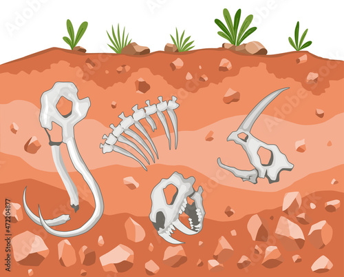 Era of Earth history. Fossil dinosaurs, elements for paleontology and archeology works. Scene with various animals bones in soil layer. Vector old dino skeletons buried underground