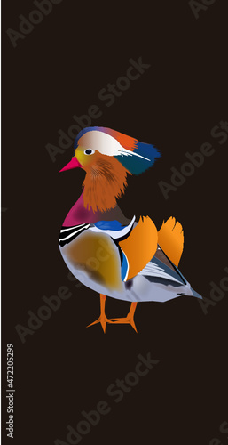 COLORFUL EXOTIC  BIRD