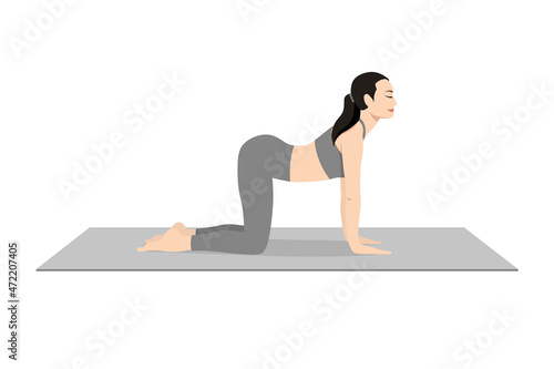 Cow Pose, Beautiful girl practice Bitilasana. Young attractive woman practicing yoga exercise. working out, black wearing sportswear, grey pants and top, indoor full length, calmness and relax.