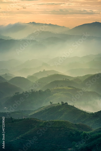 beautiful countryside of Bao Loc, Lam Dong, Vietnam. sunny morning. wonderful springtime landscape in mountains. grassy field and rolling hills. rural scenery