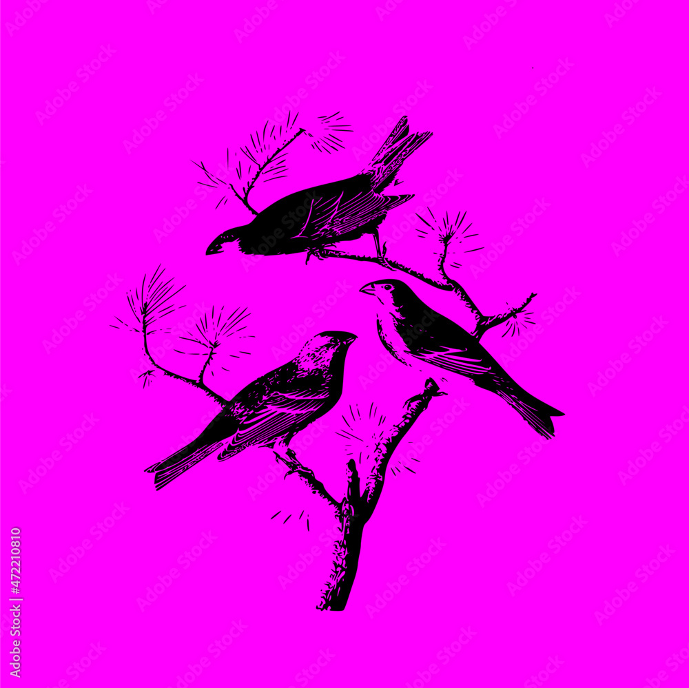Fototapeta premium birds on branches on a pink background