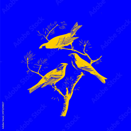 birds on branches on a blue background