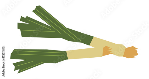 Welsh onion icon. Green japanese leek plant