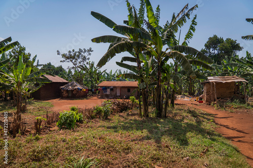 Buikwe it is small village photo