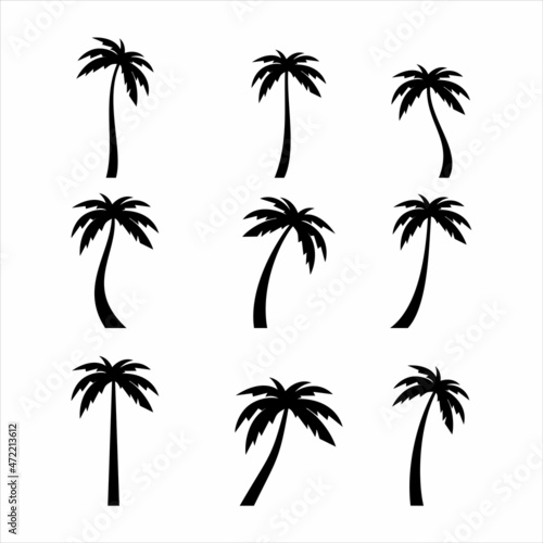 Palms tree icons on white background 