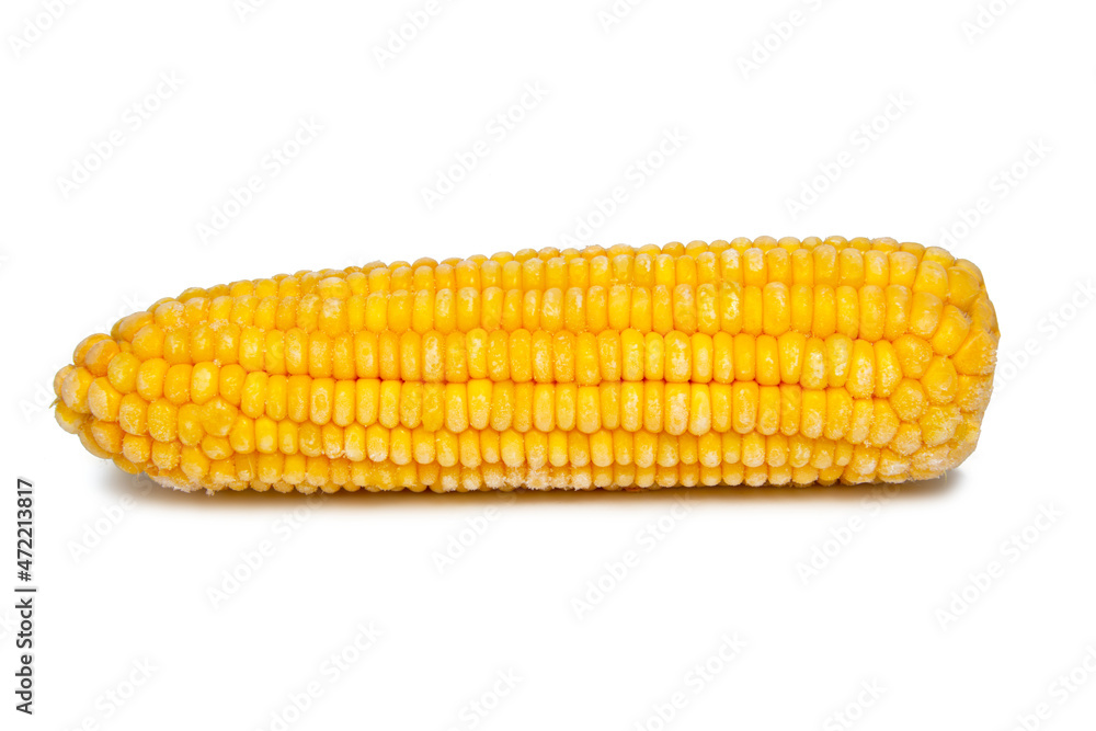 Sweet yellow corn natural isolated on the white background Sweet yellow corn natural isolated on the white background