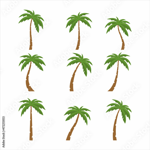 Palms tree icons on white background
