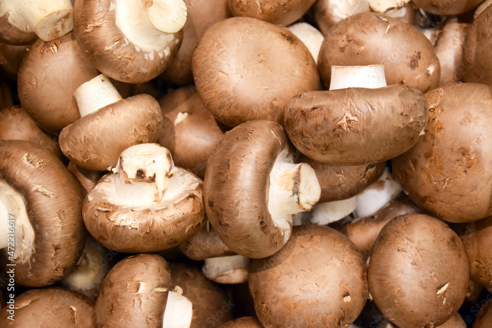 Lots of mushrooms on the market counter. Lots of mushrooms on the market counter.