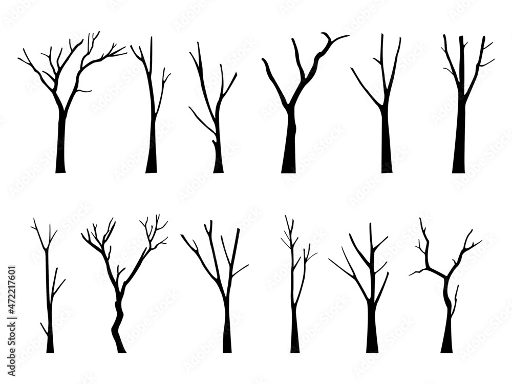 bare dead tree silhouette. isolated on white background. vector illustration