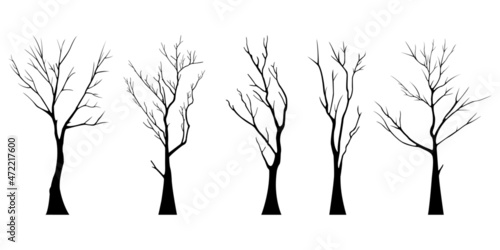 bare dead tree silhouette. isolated on white background. vector illustration