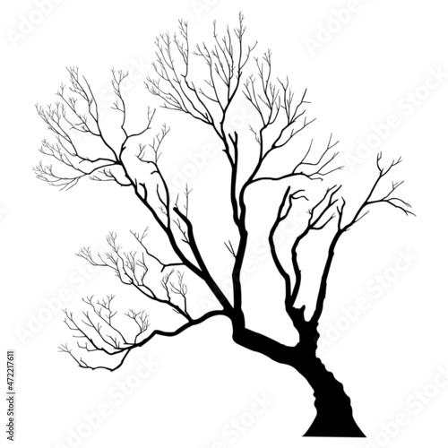 bare dead tree silhouette. isolated on white background. vector illustration