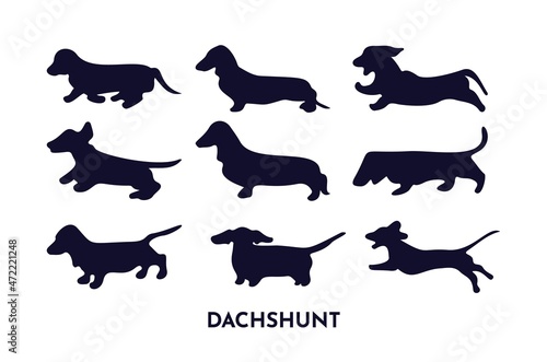 Set of dachshund silhouettes in different poses running, sitting, playing. Vector black illustration.