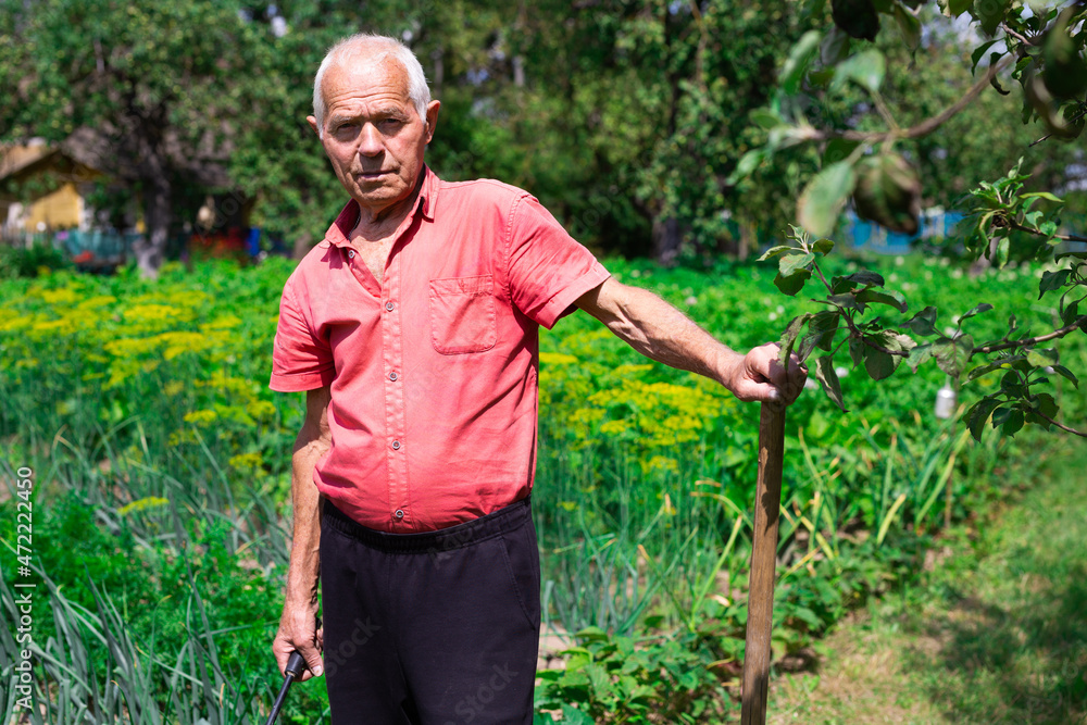 Fototapeta premium man farmer resting and posing in the vegetable garden at the manor