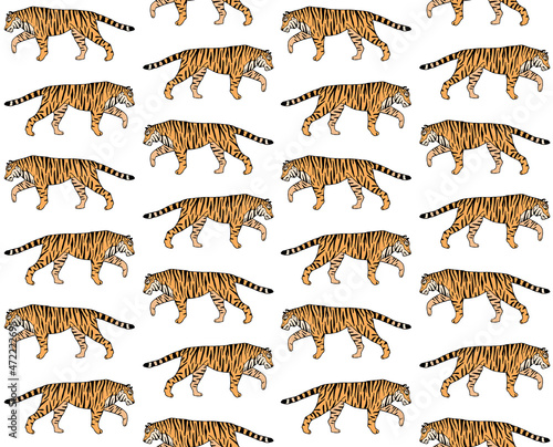 Vector seamless pattern of hand drawn doodle sketch colored tiger isolated on white background