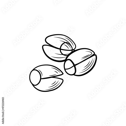 lotus seeds outline illustration isolated on white background.