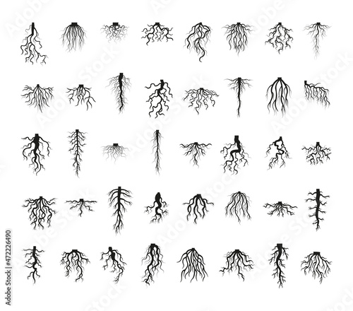 Vector collection of plant roots in black © Malika