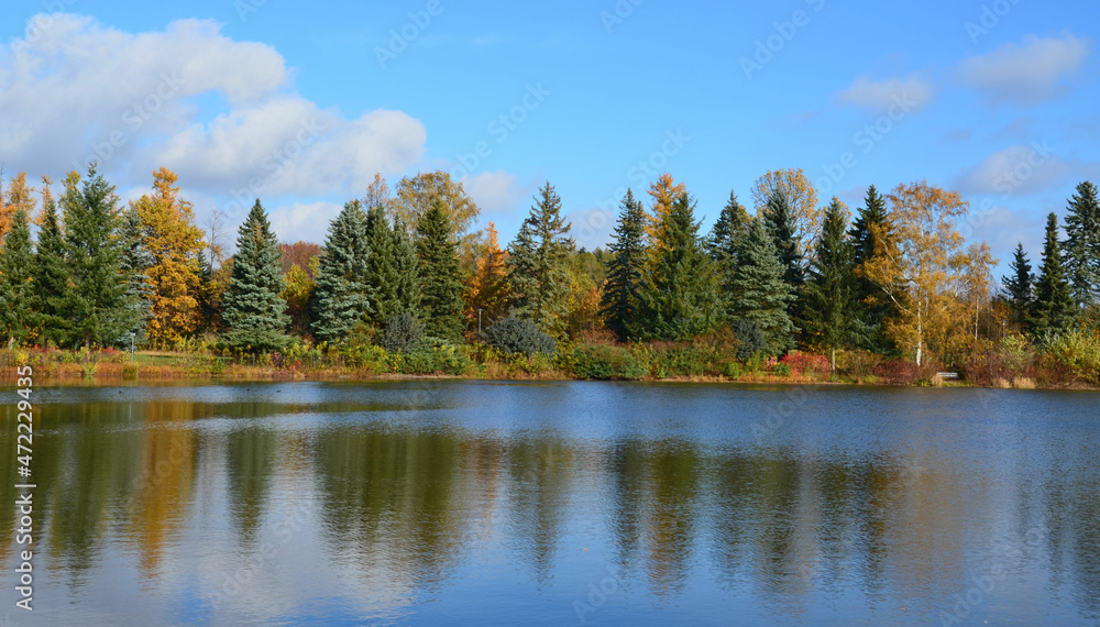 Sonnige Herbstlandschaft am Waldsee
