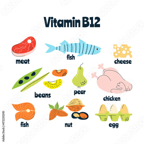 The main food sources of vitamin B12 The concept of healthy eating.