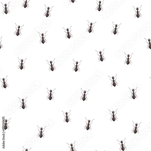 Seamless pattern colony ants on white background. Vector insects template in flat style for any purpose. Modern animals texture. © Lidok_L