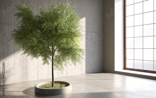 Fototapeta Naklejka Na Ścianę i Meble -  green decorative tree growing in a cement pots on gray wall background. 3D illustration, cg render