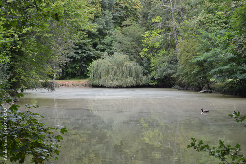 Lac du parc de la Pailleterie à Montargis photo