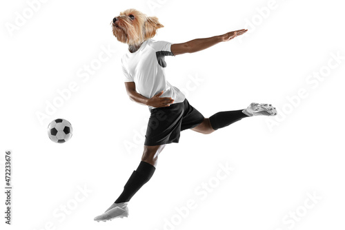 Contemporary artwork, conceptual collage. Young man, professional football player headed by dog head in action. Surrealism © master1305