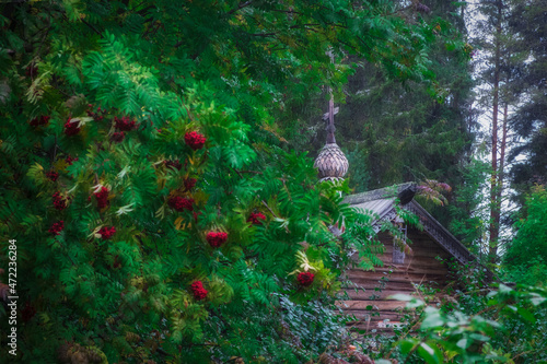 Russian wooden architecture, a small church in a rainy forest. Republic of Karelia Russia photo
