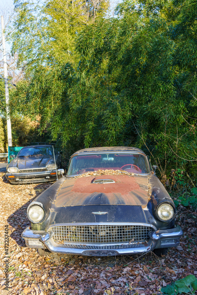 Fototapeta premium 捨てられて錆びた車