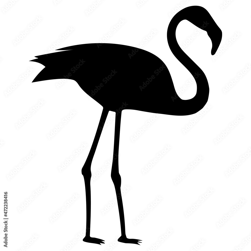 Vector of the flamingo logo in black silhouette on a white background. Flamingo bird.
