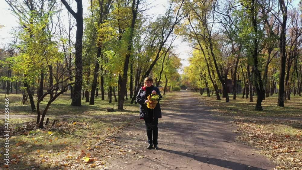 Woman on the alley in the autumn park. Autumn yellow leaves in the woman's hands Woman on the alley in the autumn park. Autumn yellow leaves in the woman's hands