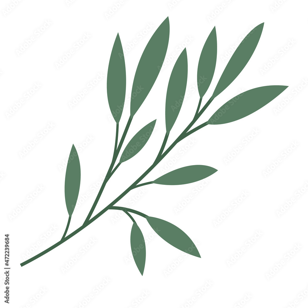 Vector drawing of twigs with leaves isolated on white background. Minimalistic twig in a flat style. Drawing worksheet for web design and typography, logos. Vector drawing of twigs with leaves isolated on white background. Minimalistic twig in a flat style. Drawing worksheet for web design and typography, logos.