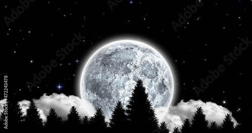 Composition of full moon and silhouette trees against star field at night with copy space