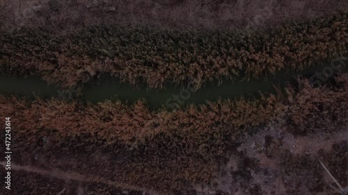 Beautiful toxic drying up river in the middle of a reed. Industrial plant pollutes soil, forest and lake. Concept of environmental disaster and habitat destruction. Aerial view