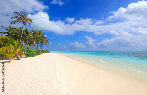 Idyllic Beach with Palm Trees at the Maldives  Indian Ocean