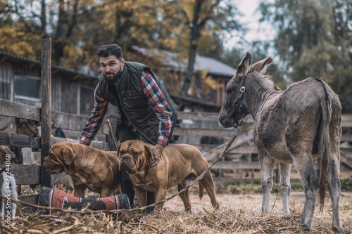 Bearded man with two big dogs in a country side