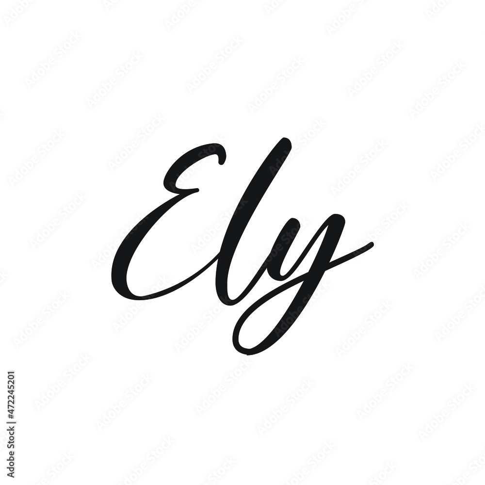signature logo design vector signature logo design vector