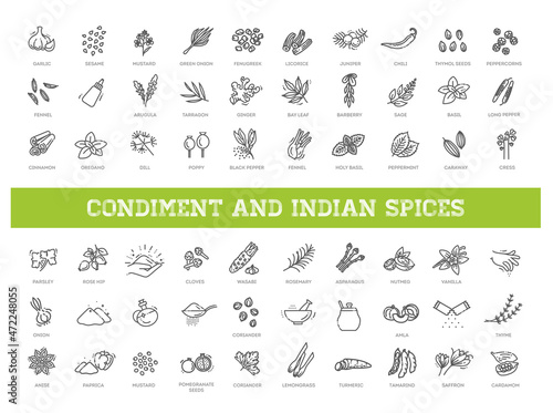 Indian spices. Condiment icons set. Outline set of condiment vector icons